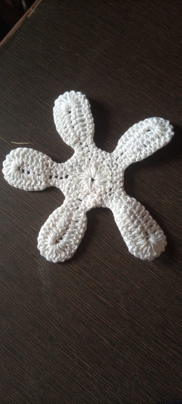 cotton star flower patch